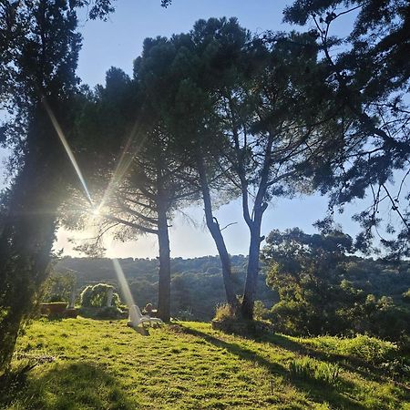 Casa Rural Camino De Hierro I Y II La Fregeneda Exteriör bild