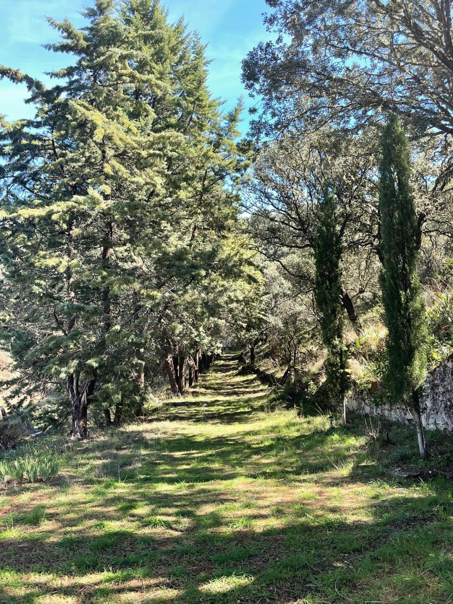 Casa Rural Camino De Hierro I Y II La Fregeneda Exteriör bild